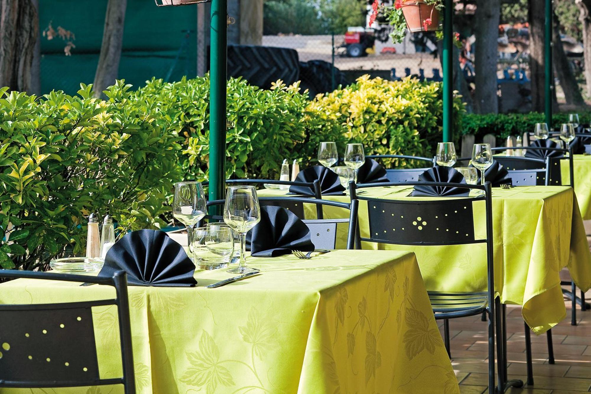Logis Hotel Restaurant Le Flamant Rose Camargue Albaron Екстер'єр фото